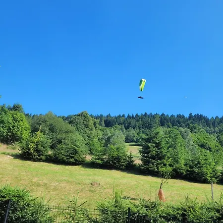 Апартаменты Pod Skrzycznem *