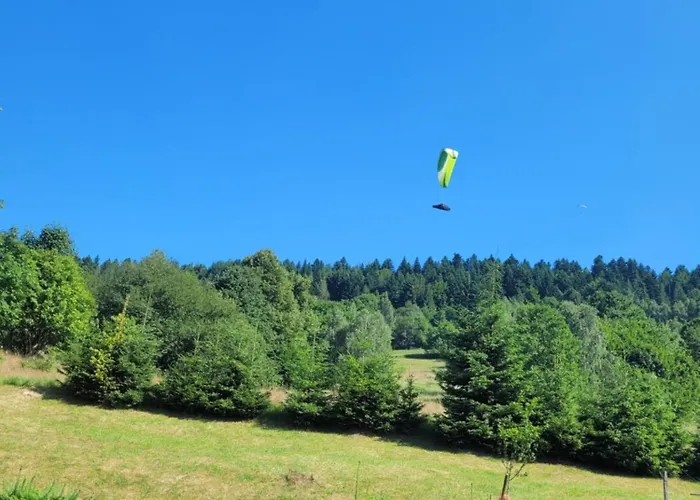 Apartamento Pod Skrzycznem *